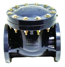 P440F 2" Schedule 80 PVC Swing Check Valve Flanged